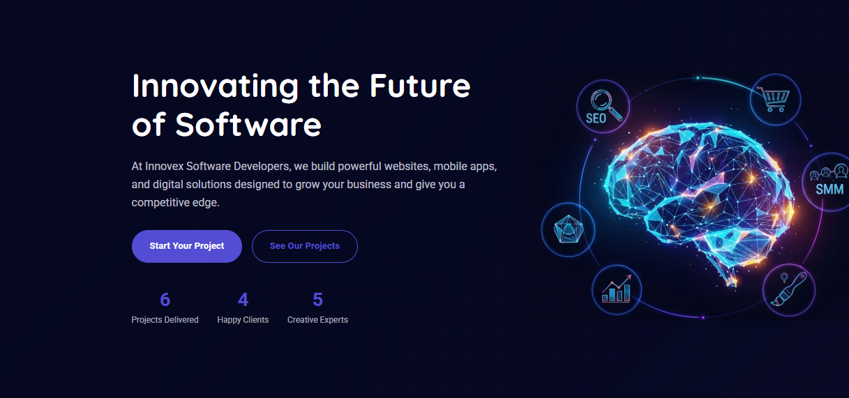 Innovex Software Developers Business Portfolio